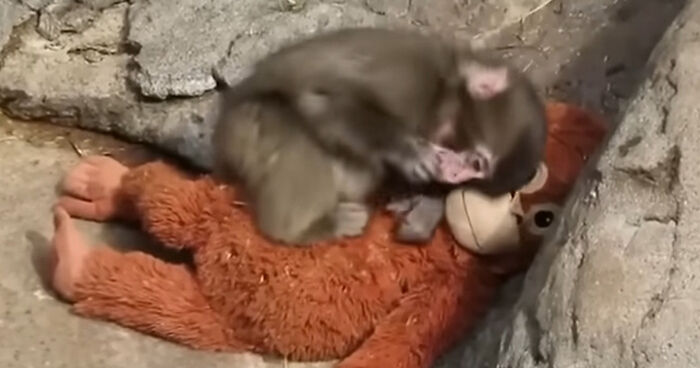 “Where In The World Are We?”: Challenge Yourself To Name 30 Countries From A Single Map Point