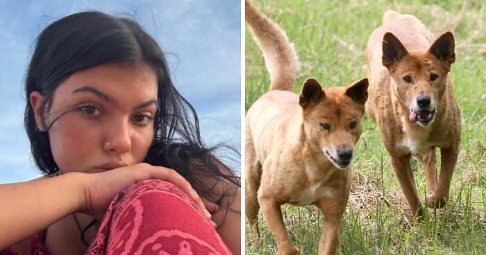 Teen Regrets Being A Bully After Girl Gets The Ultimate Revenge On Her: “So She Was Gone”