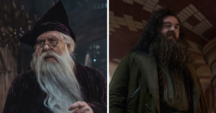 HBO’s Harry Potter Series: Why Dumbledore, Hagrid, And More Hogwarts Staff Look So Familiar