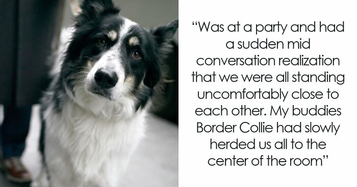 “Watching It Gave Me Chills”: 43 People Share The Creepiest Displays Of Intelligence They’ve Seen In Others