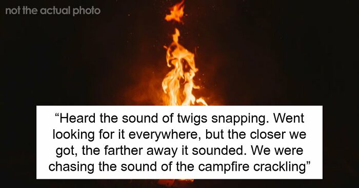 45 Unsettling Trips Into Nature When People Wanted To Leave Immediately