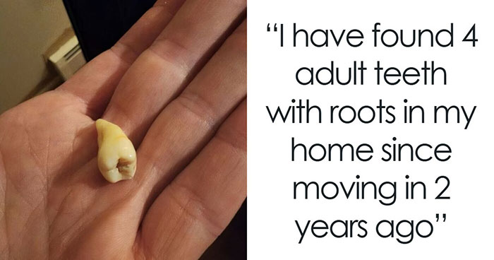 People Are Rethinking Their Decision To Move After Finding These 39 Creepy Things In Their New Homes (New Pics)