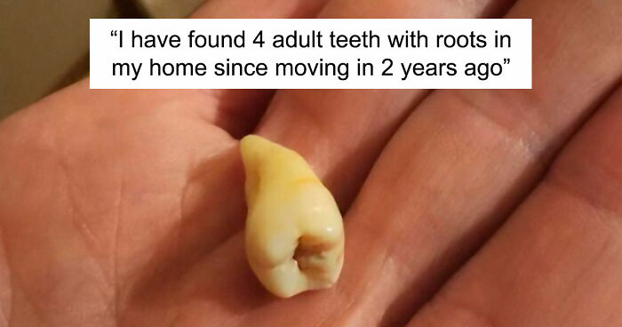 People Are Rethinking Their Decision To Move After Finding These 39 Creepy Things In Their New Homes (New Pics)