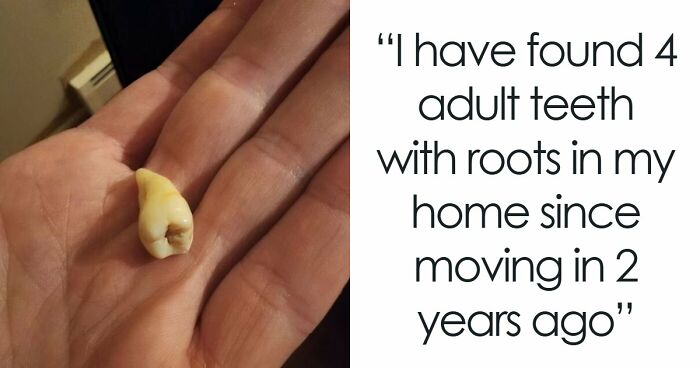 People Are Rethinking Their Decision To Move After Finding These 39 Creepy Things In Their New Homes (New Pics)