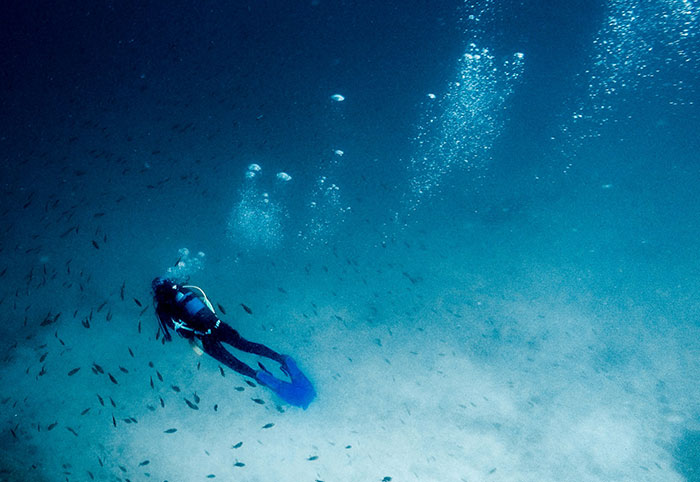 Scuba diver exploring dark ocean depths surrounded by fish, illustrating creepy facts about the ocean environment.