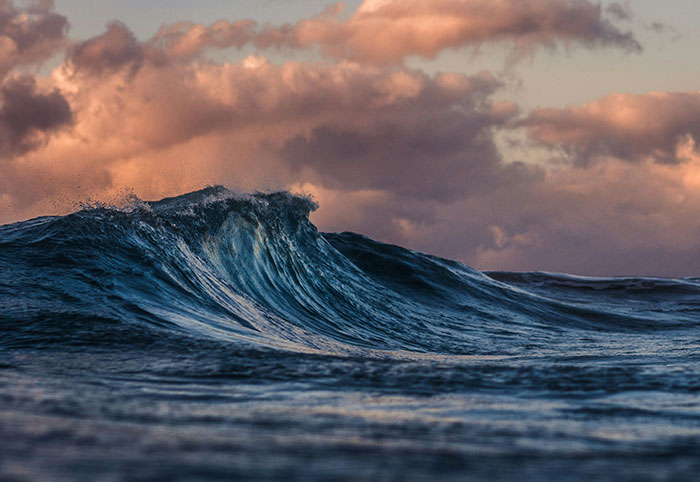 A dark ocean wave cresting under a moody sky, illustrating creepy facts about the ocean's mysterious depths.