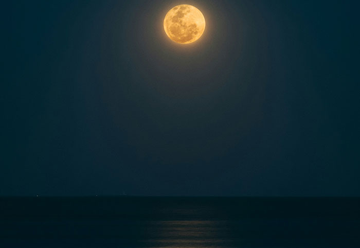 Full moon glowing over dark ocean waters at night, evoking creepy facts about the ocean and its mysteries.