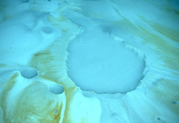 Close-up of strange underwater ocean formation showing unusual textures and colors as a creepy ocean fact
