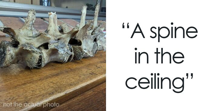 “I’ve Watched Enough Movies To Know It Won’t End Well”: 79 Bizarre And Creepy Things People Found In Old Homes