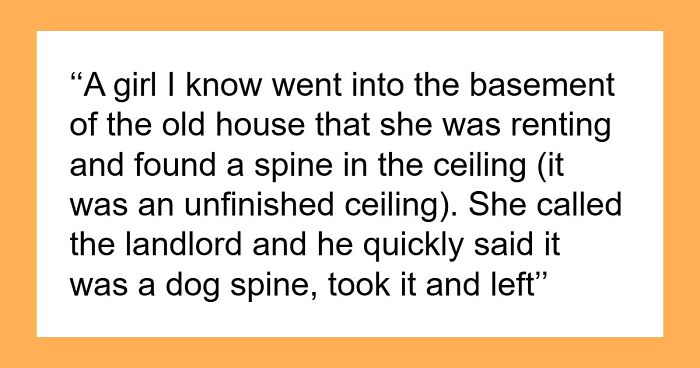 “I’ve Watched Enough Movies To Know It Won’t End Well”: 79 Bizarre And Creepy Things People Found In Old Homes