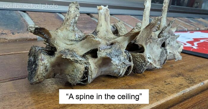 “I’ve Watched Enough Movies To Know It Won’t End Well”: 79 Bizarre And Creepy Things People Found In Old Homes