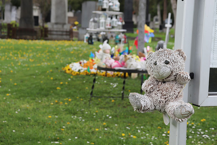 Teddy bear on a grave marker in a cemetery symbolizing a man losing his mind as a secret enemy vandalizes daughter's grave.