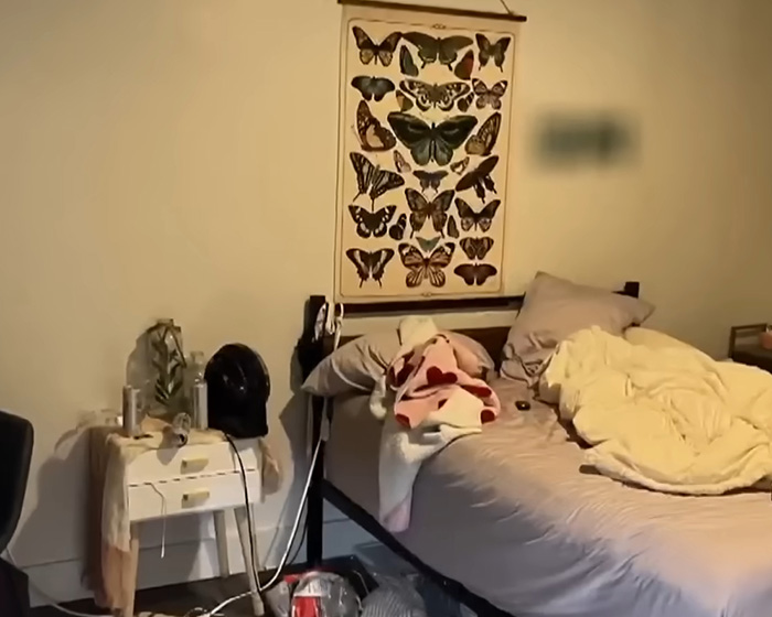 Momento arrepiante Bryan Kohberger discute seus homicídios na faculdade com um funcionário do DMV Momento arrepiante Bryan Kohberger discute seus homicídios na faculdade com um funcionário do DMV