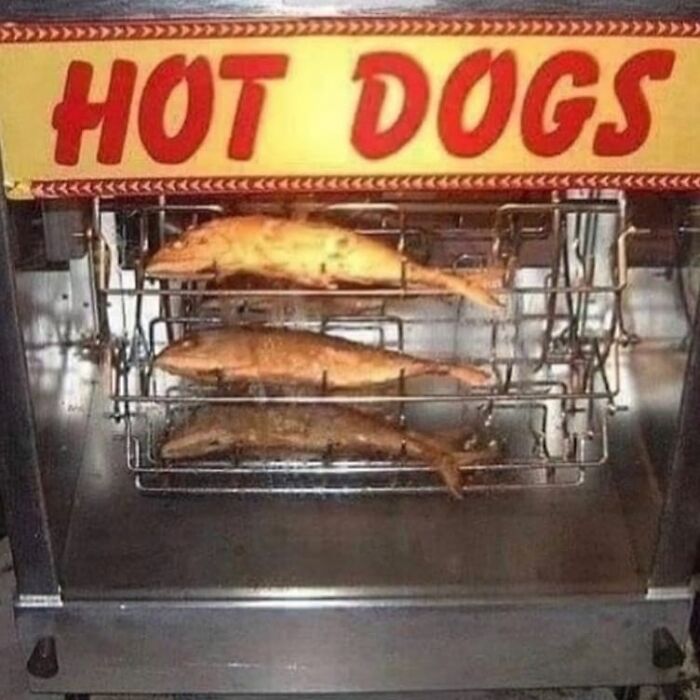 Rotisserie oven labeled hot dogs cooking three whole fish, a weird and cringey photo difficult to look at.