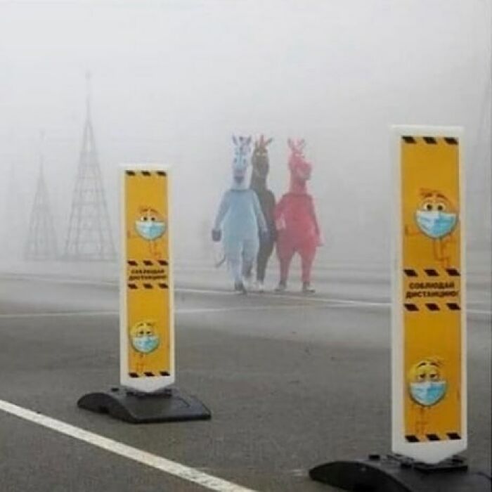 Three people in colorful animal costumes walking on a foggy street behind weird and cringey caution signs.