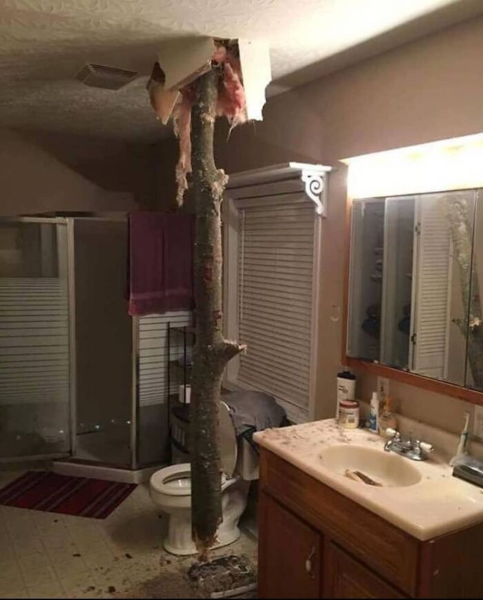 Bathroom with a tree trunk crashing through the ceiling and floor, creating a weird and cringey scene that's difficult to look at.