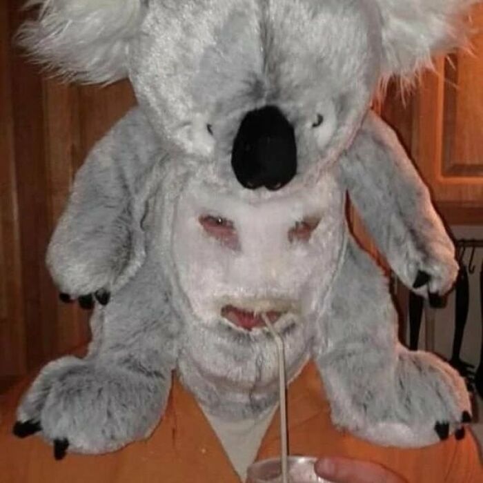 Person wearing a weird and cringey koala costume head, drinking through a straw in an indoor setting.