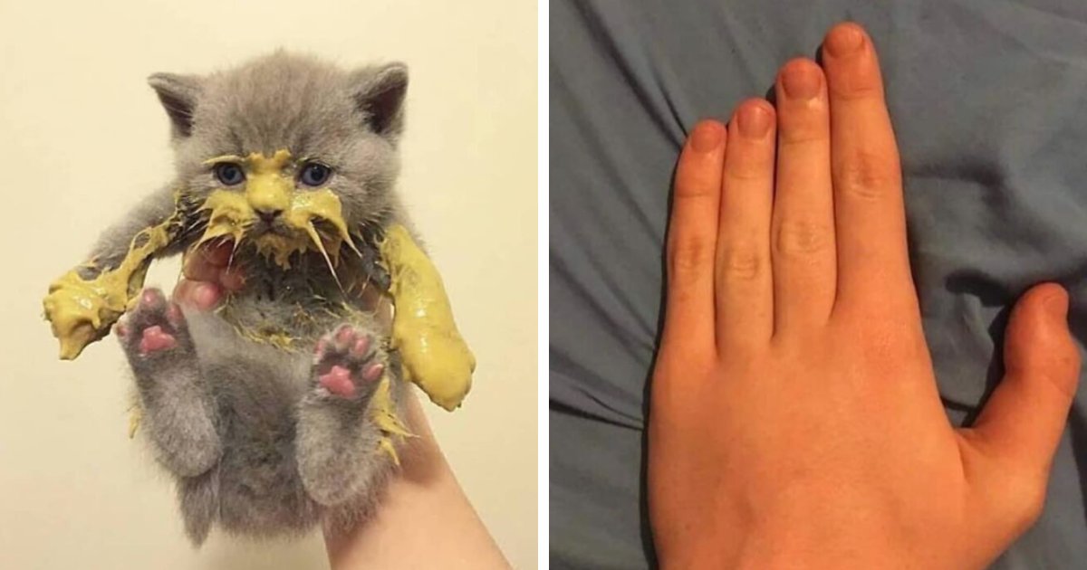 99 Photos That Are Quite Difficult To Look At Because Of How Weird And ...