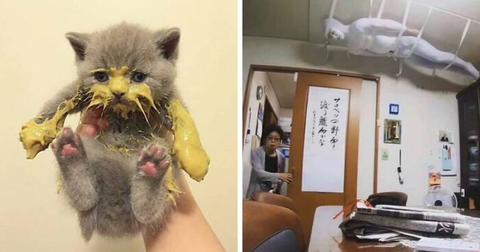 99 Cringey And Absurd Pictures That Are So Bad, They’re Good