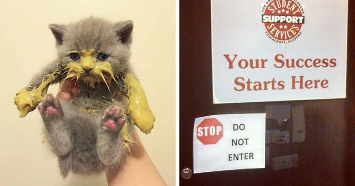 99 Cringey And Absurd Pictures That Are So Bad, They’re Good