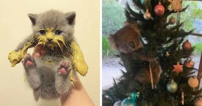 99 Cringey And Absurd Pictures That Are So Bad, They’re Good