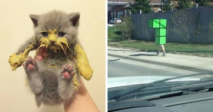 99 Cringey And Absurd Pictures That Are So Bad, They’re Good