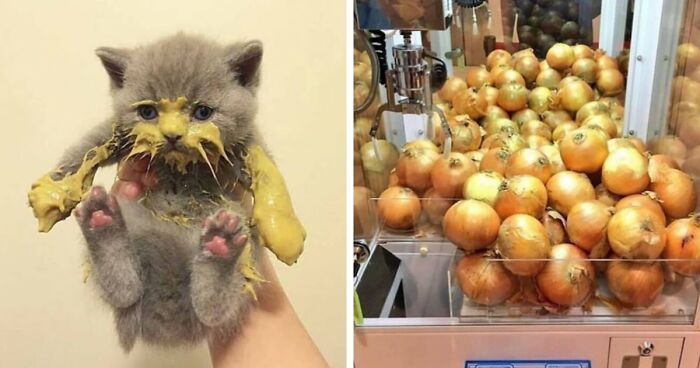 99 Cringey And Absurd Pictures That Are So Bad, They’re Good