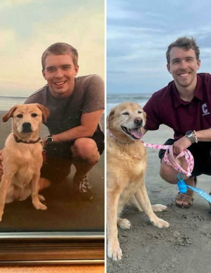 Side-by-side photos of a man and his dog at the beach, showing their bond and adorable animal companionship over time.