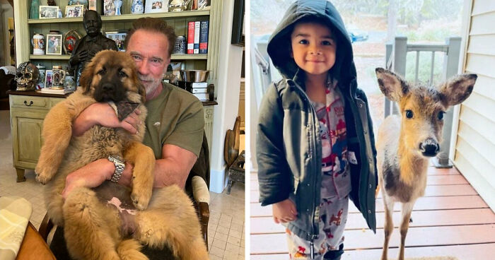 107 Adorable Pictures Of Animals That Are Bound To Lift Your Spirits And Make You Say “Aww”