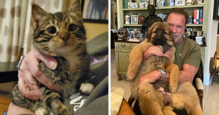 107 Adorable Pictures Of Animals That Are Bound To Lift Your Spirits And Make You Say “Aww”