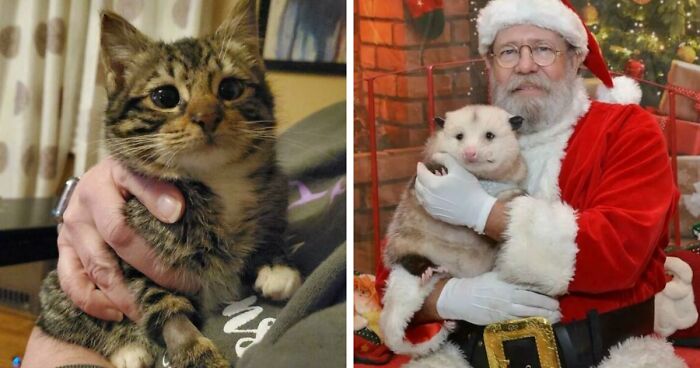 107 Adorable Pictures Of Animals That Are Bound To Lift Your Spirits And Make You Say “Aww”