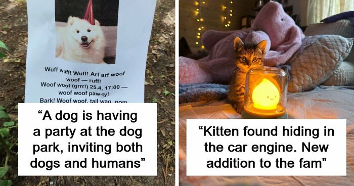 107 Adorable Pictures Of Animals That Are Bound To Lift Your Spirits And Make You Say “Aww”