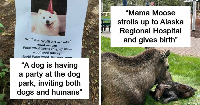 107 Adorable Pictures Of Animals That Are Bound To Lift Your Spirits And Make You Say “Aww”