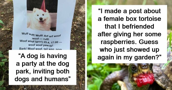 107 Adorable Pictures Of Animals That Are Bound To Lift Your Spirits And Make You Say “Aww”