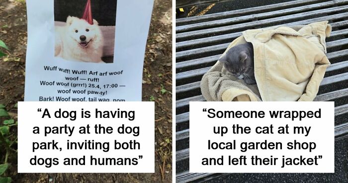 107 Adorable Pictures Of Animals That Are Bound To Lift Your Spirits And Make You Say “Aww”