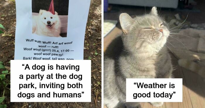 107 Adorable Pictures Of Animals That Are Bound To Lift Your Spirits And Make You Say “Aww”