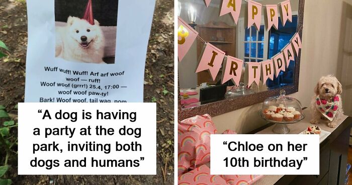 107 Adorable Pictures Of Animals That Are Bound To Lift Your Spirits And Make You Say “Aww”