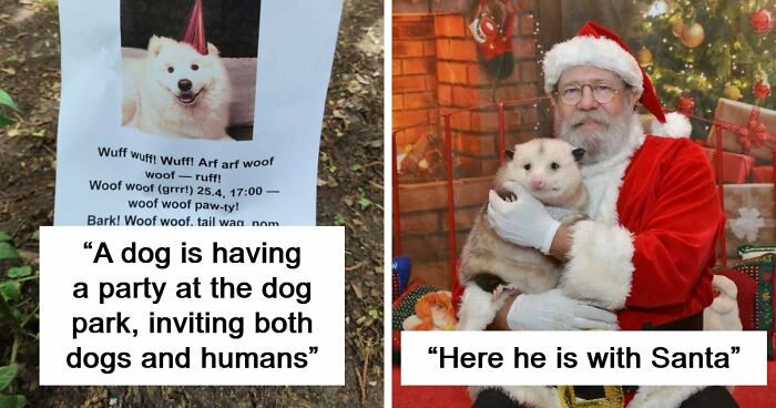 107 Adorable Pictures Of Animals That Are Bound To Lift Your Spirits And Make You Say “Aww”