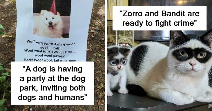 107 Adorable Pictures Of Animals That Are Bound To Lift Your Spirits And Make You Say “Aww”