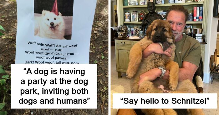 107 Adorable Pictures Of Animals That Are Bound To Lift Your Spirits And Make You Say “Aww”