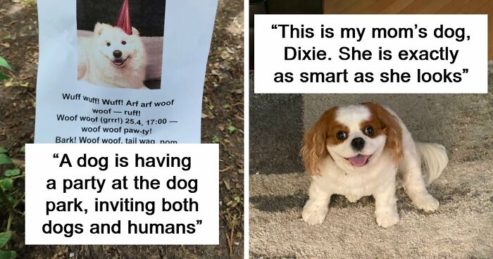 107 Adorable Pictures Of Animals That Are Bound To Lift Your Spirits And Make You Say “Aww”