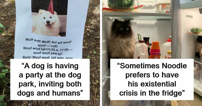 107 Wholesome And Heart-Melting Animal Moments To Make Your Day Brighter