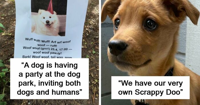 107 Adorable Pictures Of Animals That Are Bound To Lift Your Spirits And Make You Say “Aww”