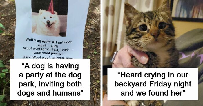 107 Adorable Pictures Of Animals That Are Bound To Lift Your Spirits And Make You Say “Aww”