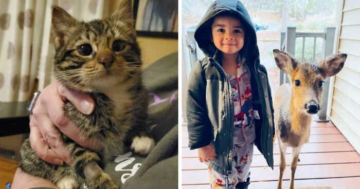 107 Wholesome And Heart-Melting Animal Moments To Make Your Day Brighter