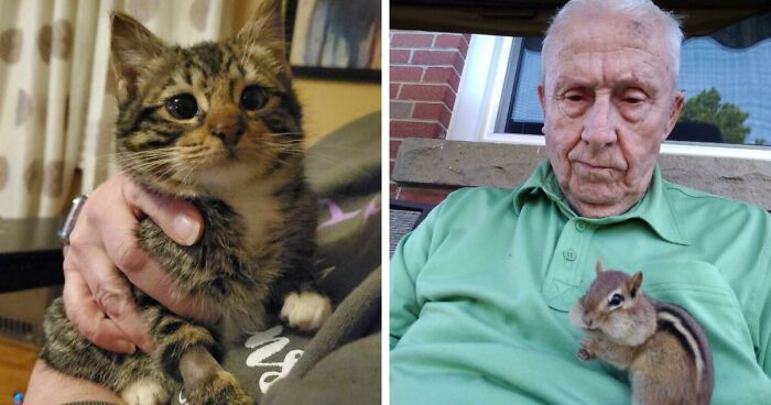 107 Adorable Pictures Of Animals That Are Bound To Lift Your Spirits And Make You Say “Aww”