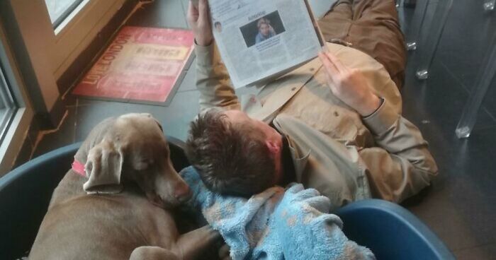 68 Dads And The Pets They Swore They Never Wanted But Now Absolutely Love