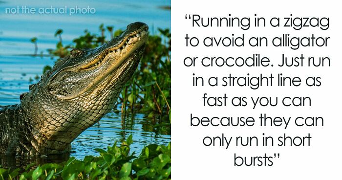 “Rubbing Frostbitten Skin”: 65 Survival Myths That Are Nothing But A Bunch Of Harmful Nonsense