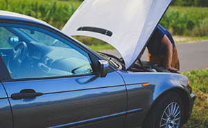 People Debunk 65 Survival Myths That Don’t Work In Real Life