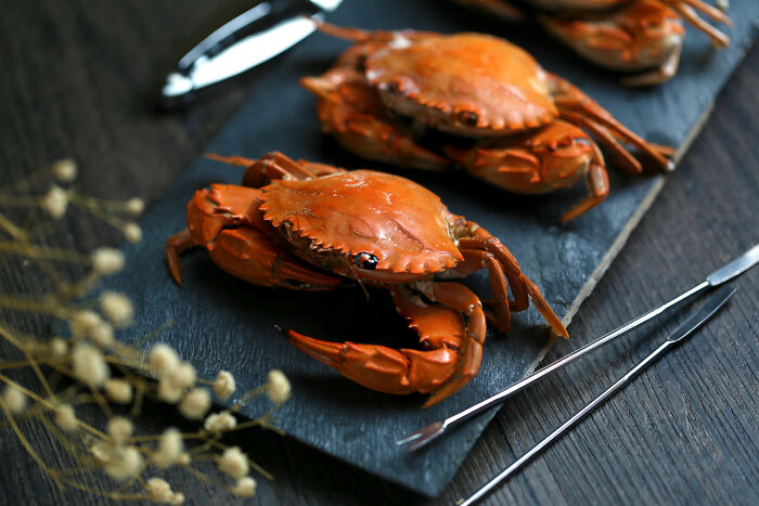 Cooked crabs on a slate board with seafood tools, illustrating dark industry secrets behind the facade shared by insiders.